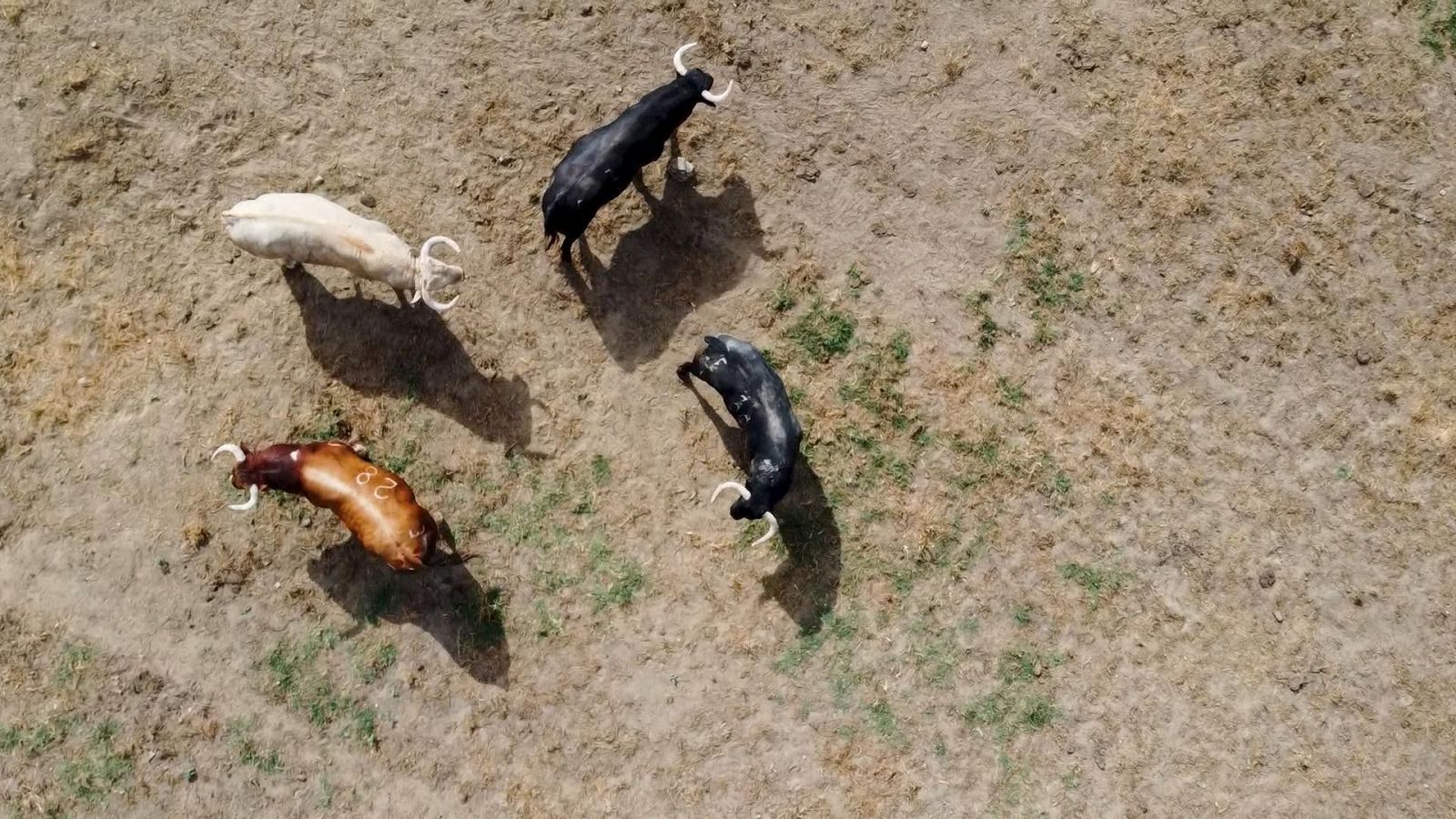 Tendido Cero - 05/07/25 - Tendido cero | Ver