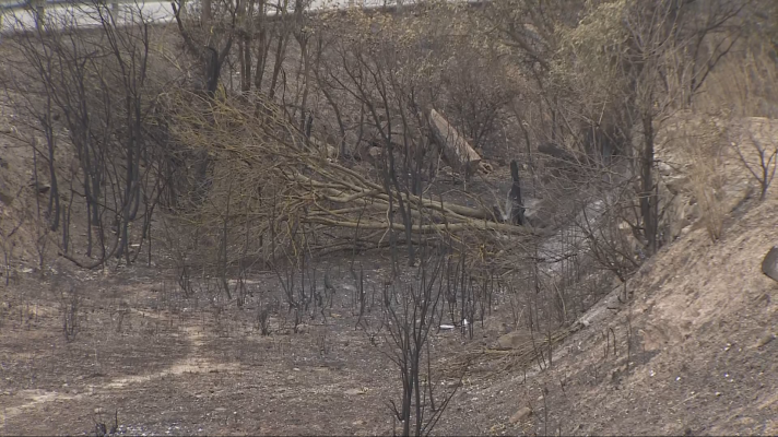 L'Informatiu - Els pagesos demanen canvis en la gestió forestal