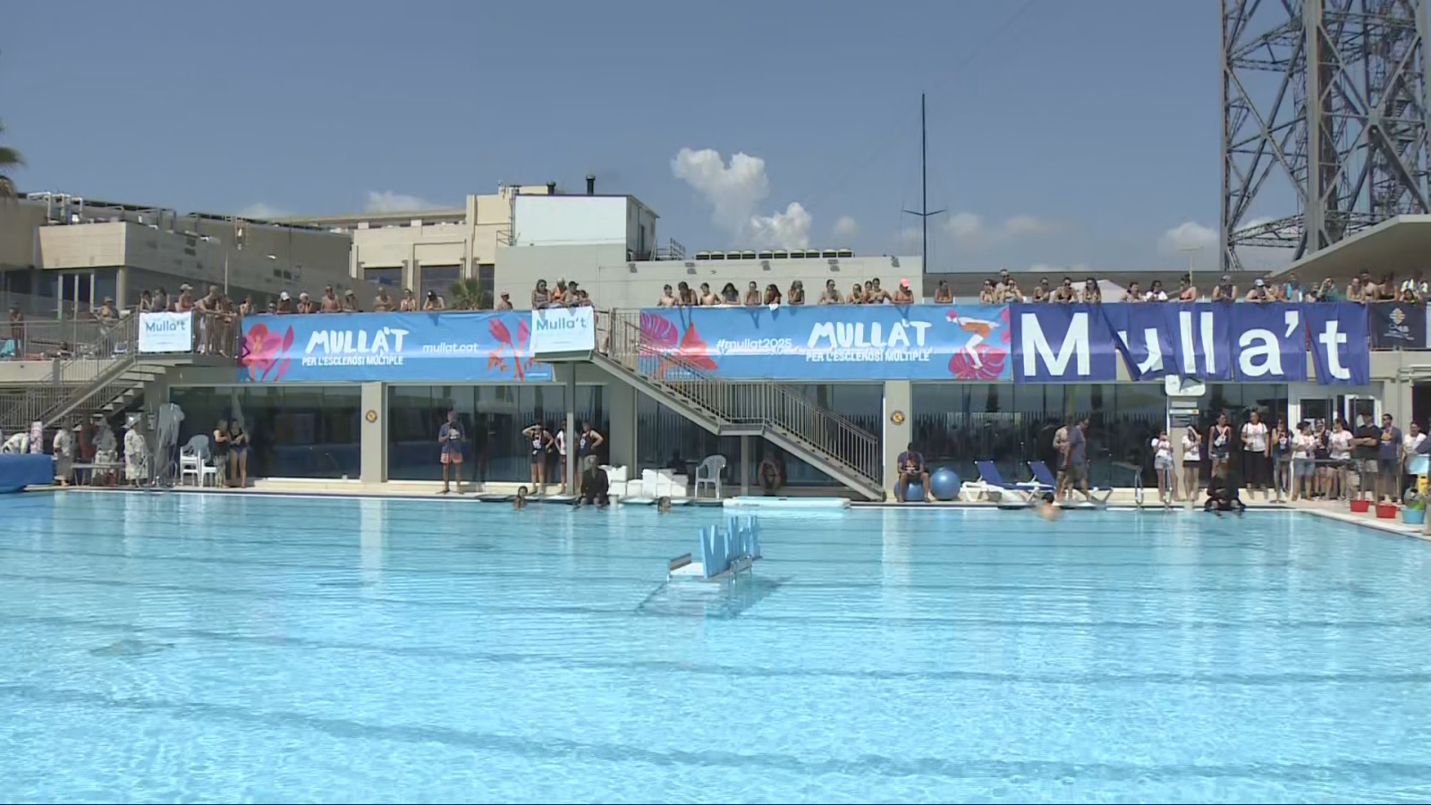 Capbussades solidàries per l'esclerosi múltiple