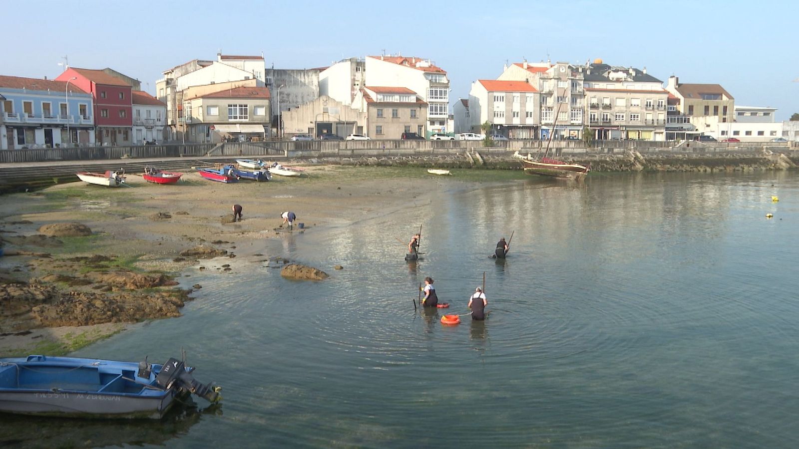 Repor - Ría Revuelta - Repor | Ver