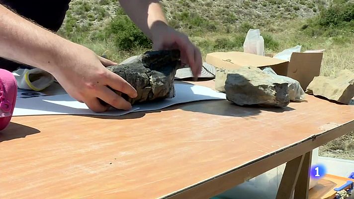 Informativo Telerioja - Telerioja en 2 - 07-07-2025 - Ver ahora