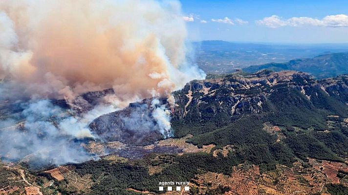 La tarde en 24h - Un incendio forestal en Paüls, Tarragona, obliga a confinar a unos 3.000 vecinos