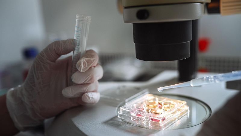 Se buscan pacientes para un posible tratamiento para el meningioma | Ver