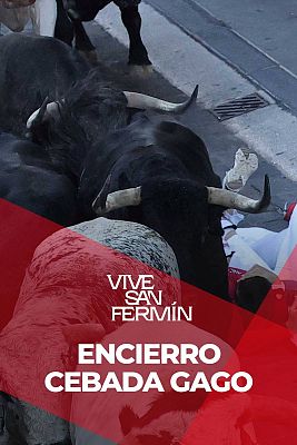 Segundo encierro de San Fermín 2025 con Cebada Gago