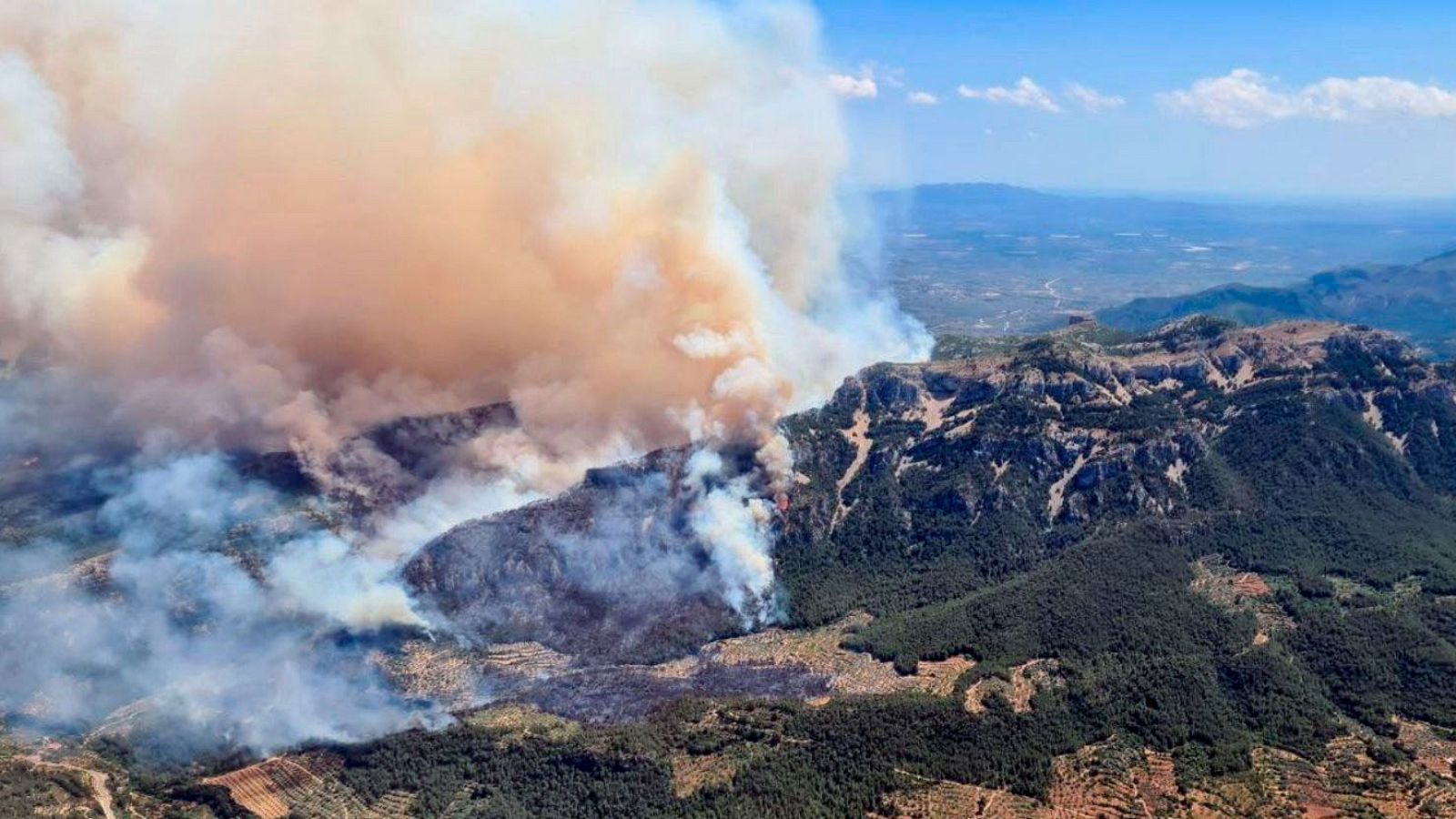 Telediario - 8 horas - 08/07/25 - Telediario Matinal | Ver