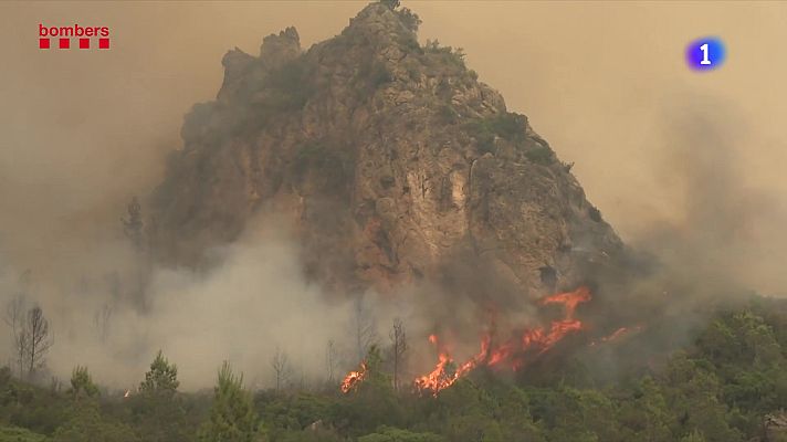 L'Informatiu - Catalunya viu el segon estiu amb més hectàrees cremades en 15 anys