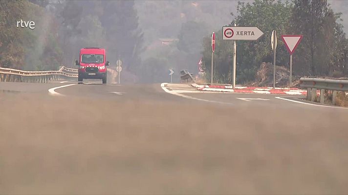 La tarde en 24h - La tarde en 24 horas - 08/07/25
