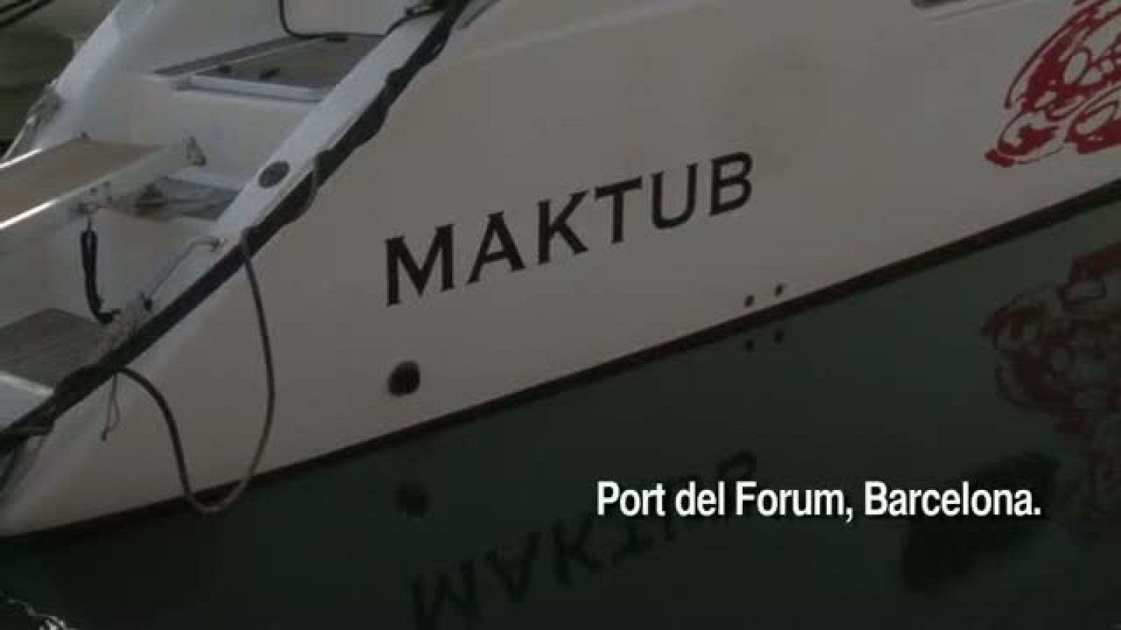 Localización y seguimiento de detáceos desde el aire