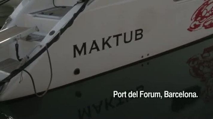 El escarabajo verde - Localización y seguimiento de cetáceos desde el aire