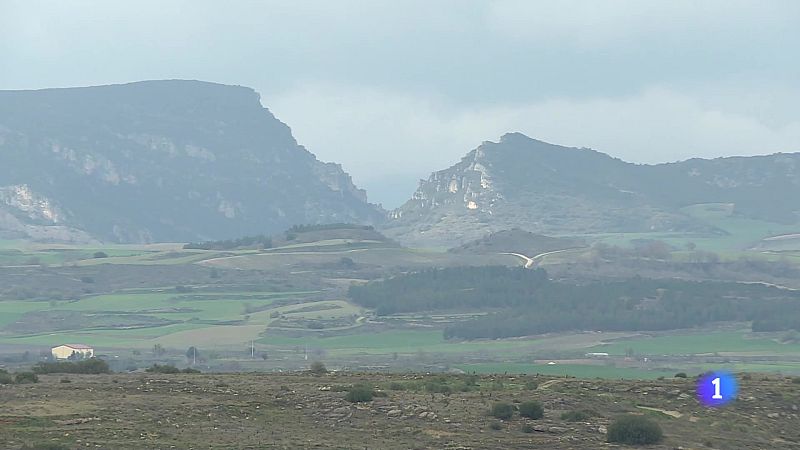 Informativo Telerioja - 10-07-2025 - Ver ahora - Informativo Telerioja | Ver