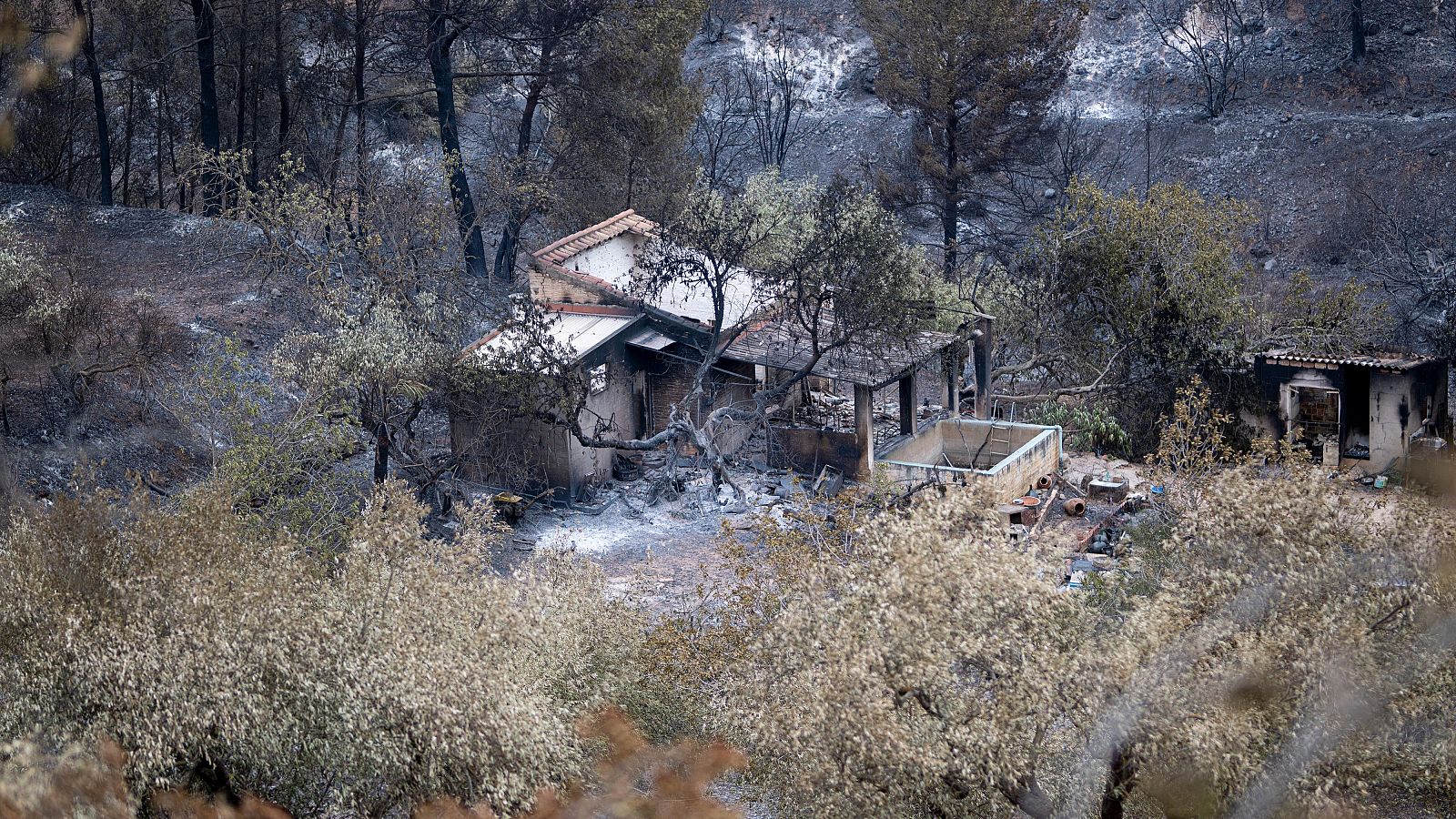 Telediario matinal en 4' - 11/07/2025 | Ver