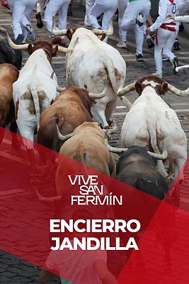 Quinto encierro de San Fermín 2025 con los Jandilla