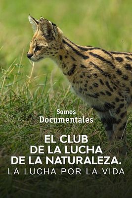 El club de la lucha de la naturaleza. La lucha por la vida