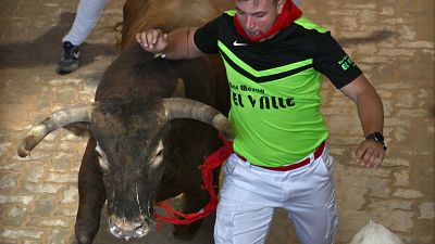 Séptimo encierro de San Fermín 2025 con los toros de La Palmosilla