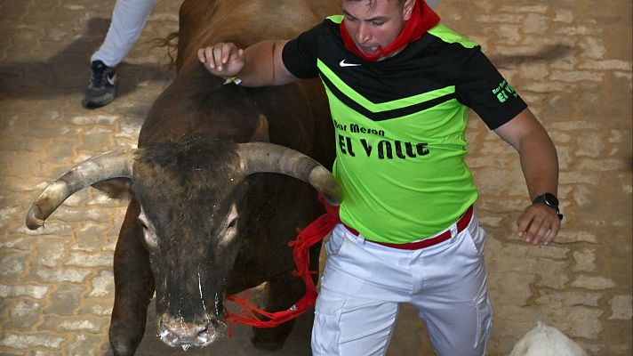 San Fermín - Séptimo encierro de San Fermín 2025 con los toros de La Palmosilla