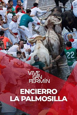 Séptimo encierro de San Fermín 2025 con los toros de La Palmosilla