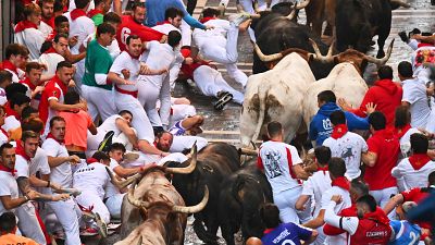 Los sonidos del penltimo encierro: rpido y tenso con toros de La Palmosilla
