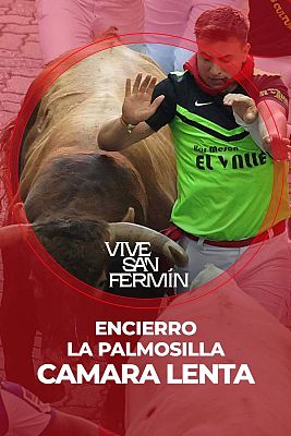 Séptimo encierro de San Fermín 2025: vídeo a cámara lenta
