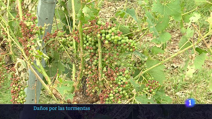 Informativo Telerioja - Informativo Telerioja 14-07-2025 Ver ahora