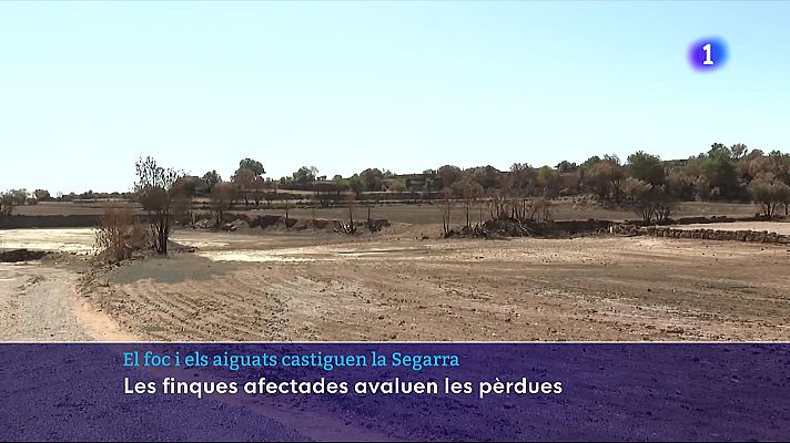 L'Informatiu - Els alcaldes de la Segarra proposen millores en emergències i avaluen les pèrdues després de l'incendi i les pluges