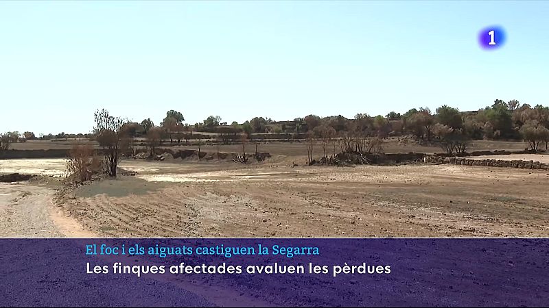 Els alcaldes de la Segarra proposen millores en emergències i avaluen les pèrdues després de l'incendi i les pluges