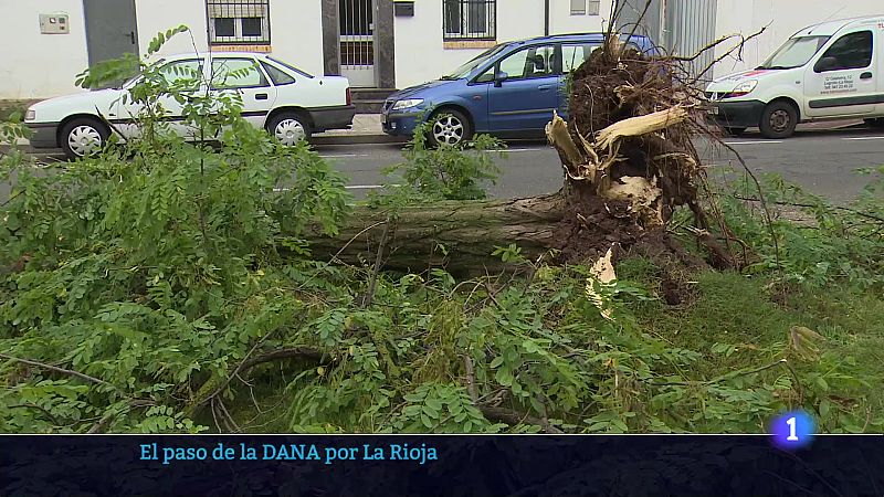 Informativo Telerioja 2 - 14-07-2025 - Informativo Telerioja | Ver