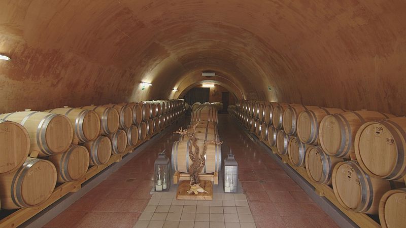 De Tapas por España - Valladolid. Villa, Corte y Ciudad Imperial | Ver