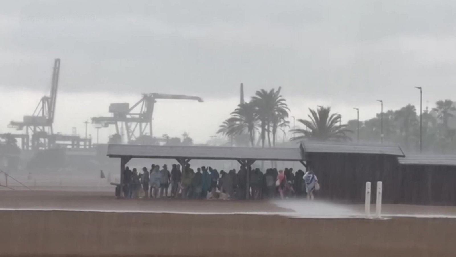 Aquí la Tierra - 14/07/25 - Aquí la Tierra | Ver