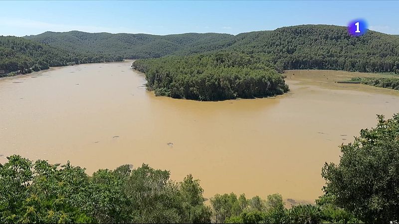 El pantà de Foix, en qüestió després de la DANA - L'Informatiu | Veure