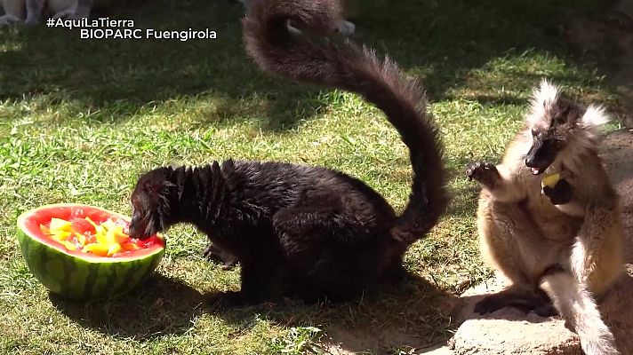 Aquí la Tierra - Aquí la Tierra - 15/07/25