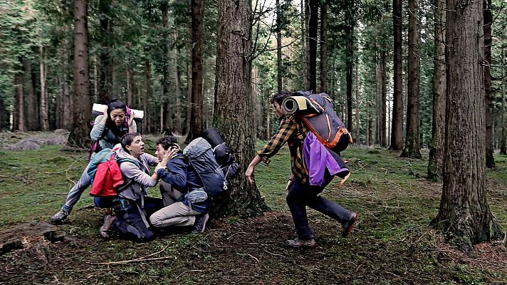 Caminantes - Peregrinos