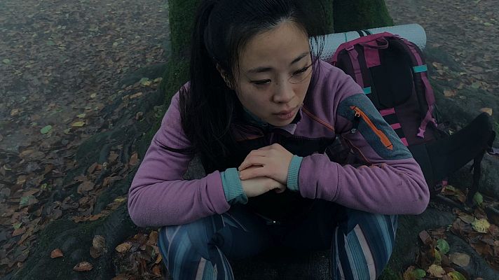 Caminantes - El niño