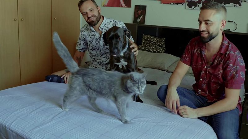 Dog House: Pablo y Jorge y conocen al perro Freya - Dog House | Ver