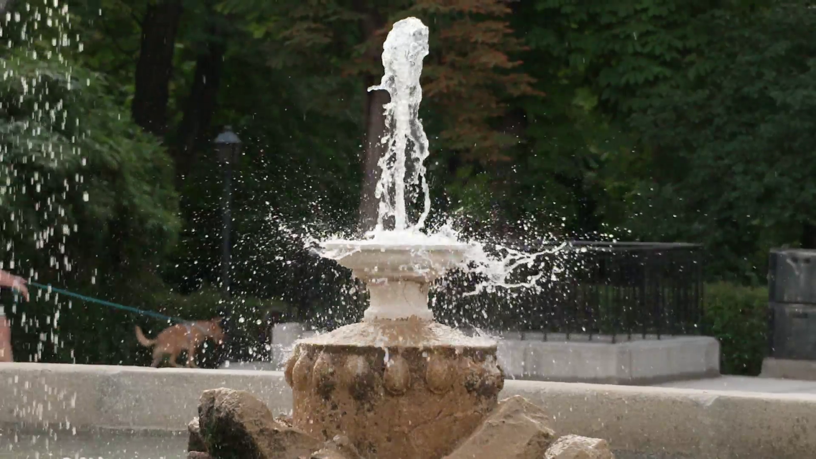 Uso responsable del agua II | Ver