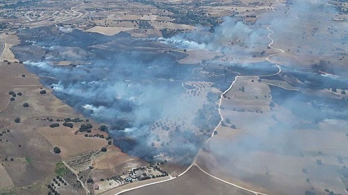 Telediario en lengua de signos - Telediario - 21 horas - 17/07/25 - Lengua de signos