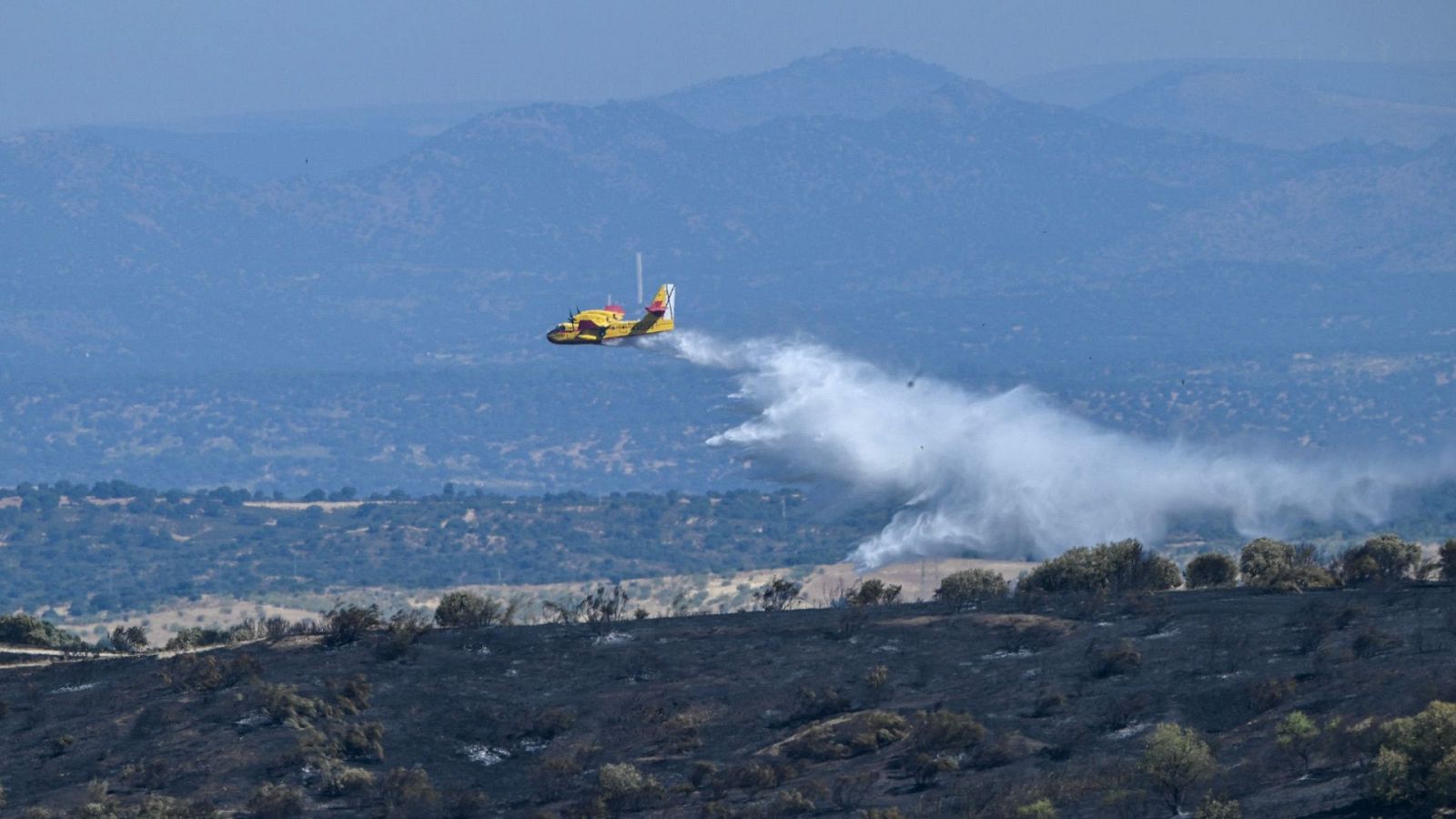 Diario 24 - 18/07/25 - Diario 24 | Ver