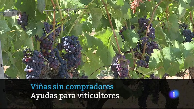 Telerioja en 2 - 18-07-2025 - Ver ahora | Ver