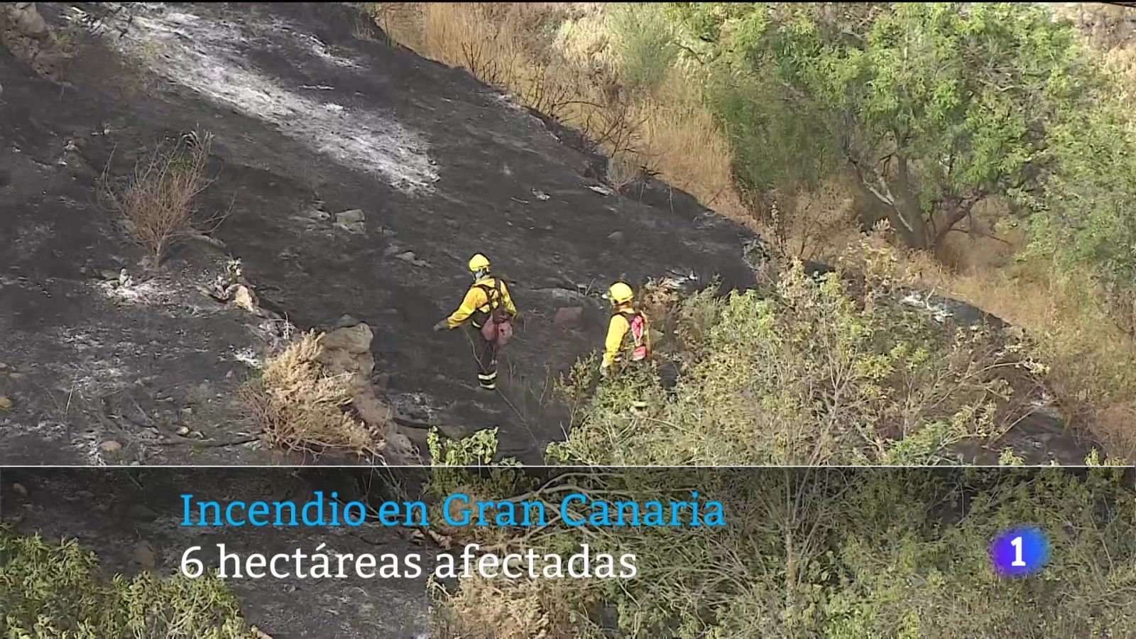 Telecanarias - 18/07/2025 | Ver
