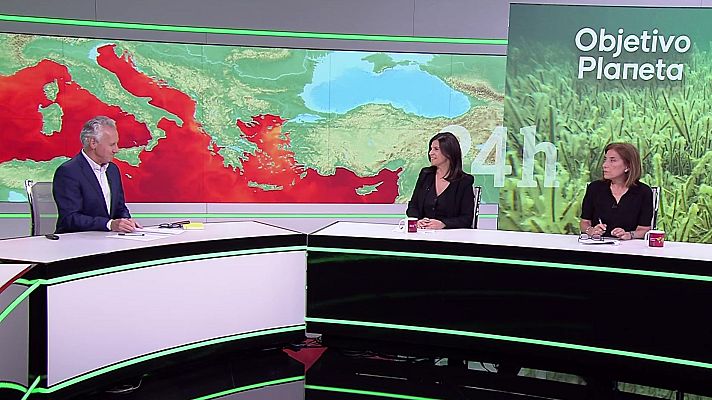 Objetivo Planeta - El Mediterráneo se tropicaliza