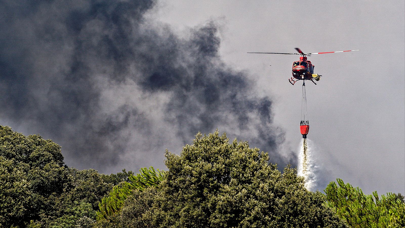Telediario 1 en cuatro minutos - 19/07/25 - RTVE.es | Ver