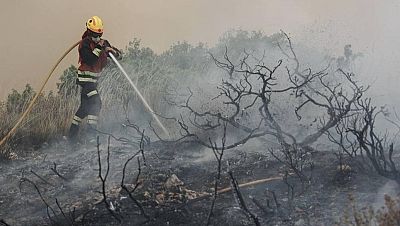 "El fuego no ha pasado al parque natural de la Font Roja" - Informativo 24h | Ver