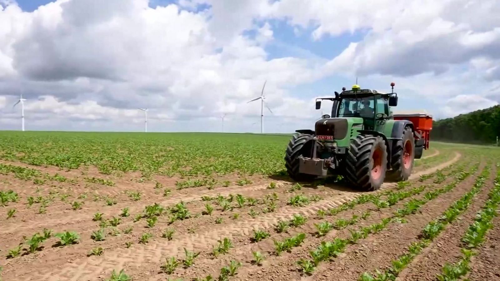 Agrosfera - 19/07/25 - Agrosfera | Ver