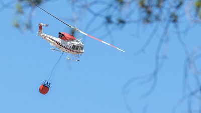 "Las pr�ximas horas van a ser clave en el incendio de Ibi" - Informativo 24h | Ver