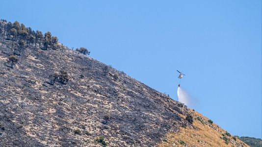 Los bomberos logran perimetrar el fuego en Ibi, Alicante, y mejora la situacin en Navaluenga, vila