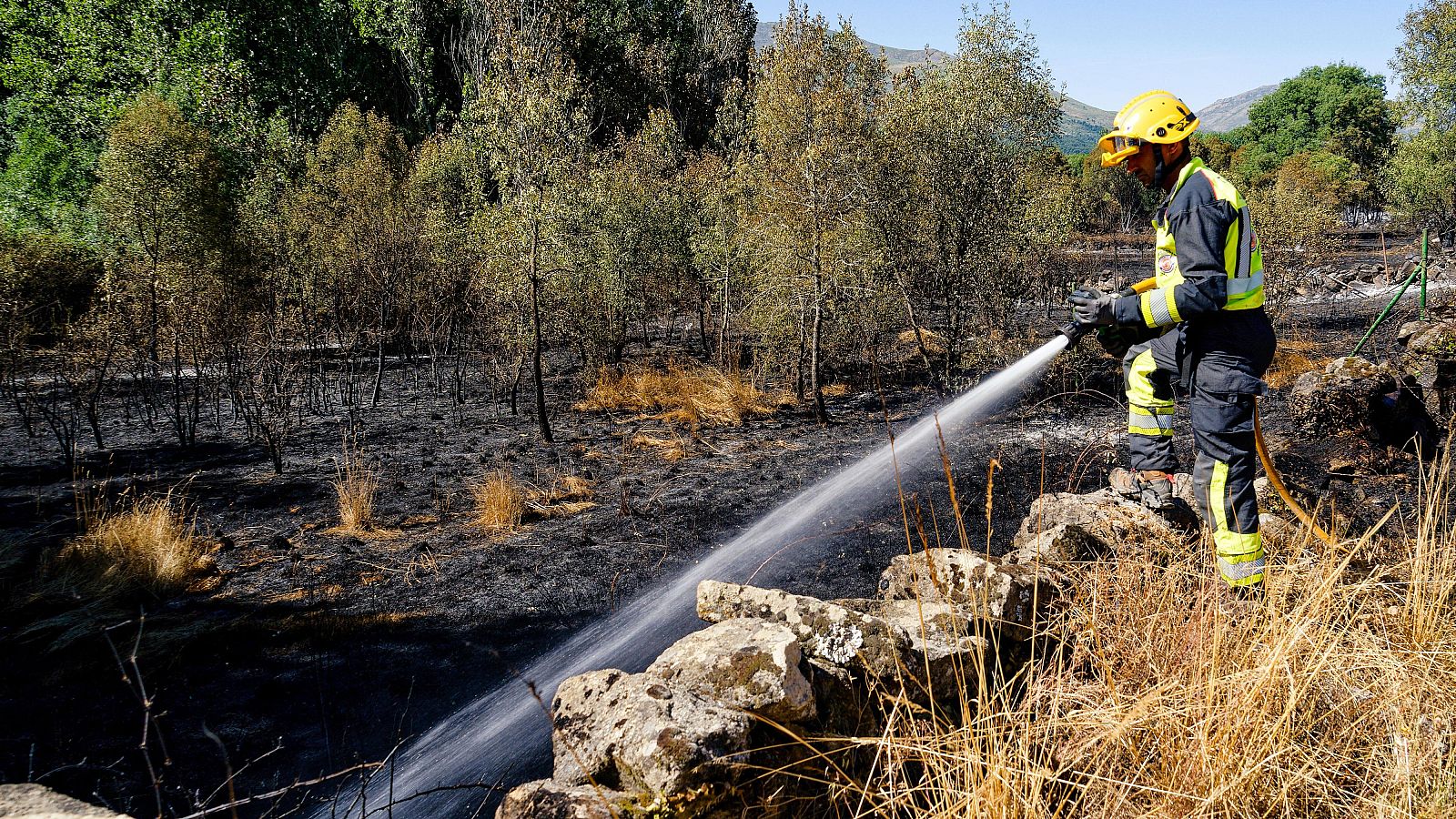 Informativo 24 horas - 20h - 19/07/25 - Fin de semana 24h | Ver