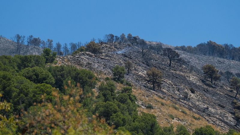 Estabilizado el incendio de Ibi y el de Navaluenga evoluciona de forma favorable | Ver