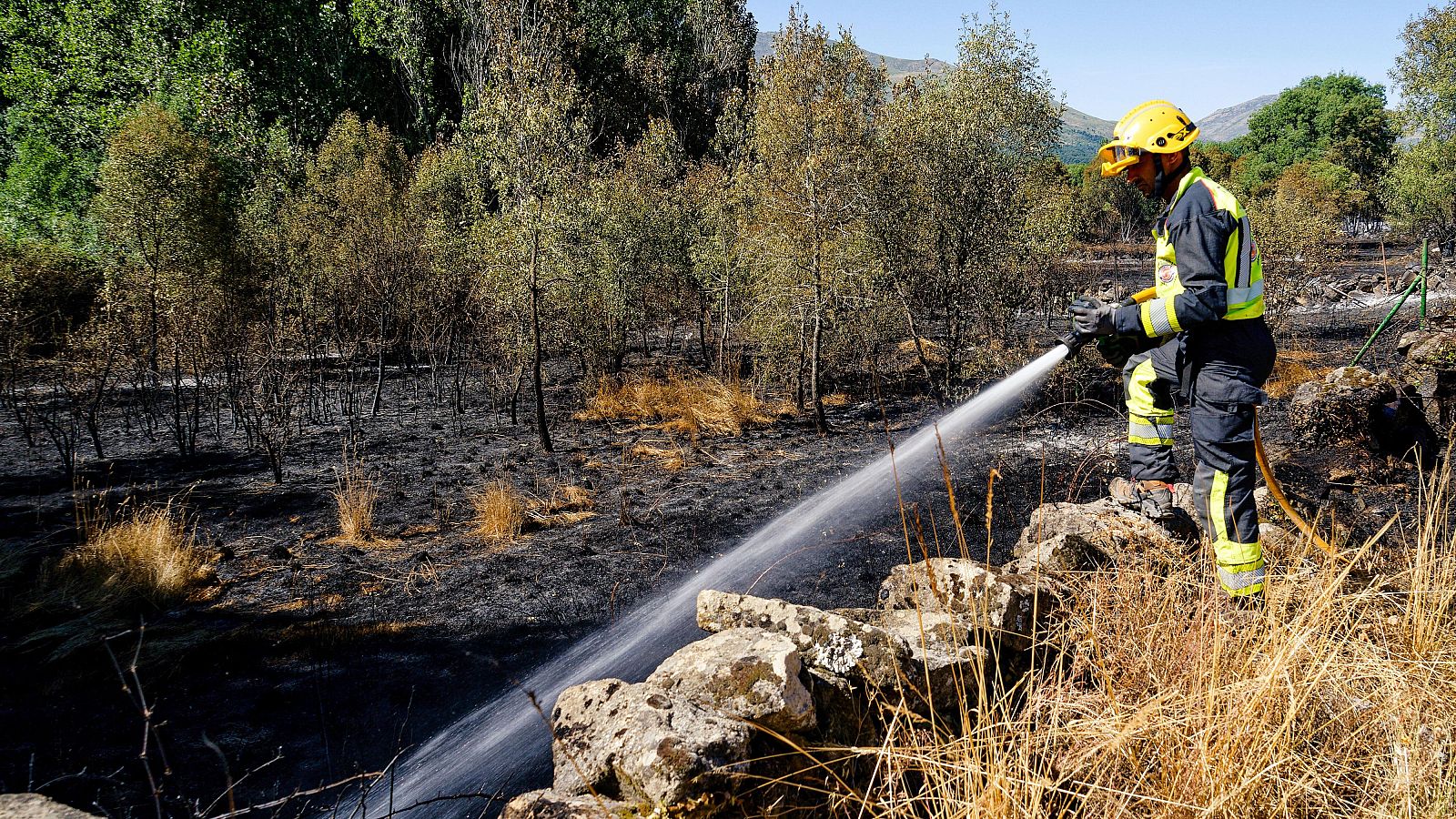 Telediario 1 en cuatro minutos - 20/07/25 - RTVE.es | Ver