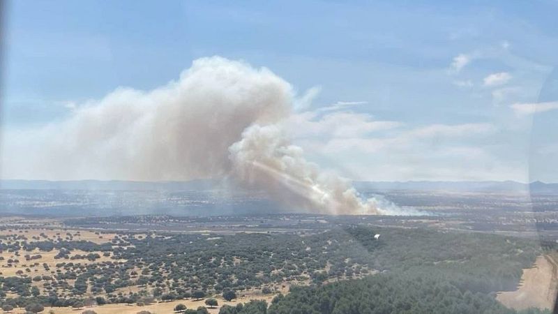Telediario 1 en cuatro minutos - 20/07/25 - RTVE.es | Ver