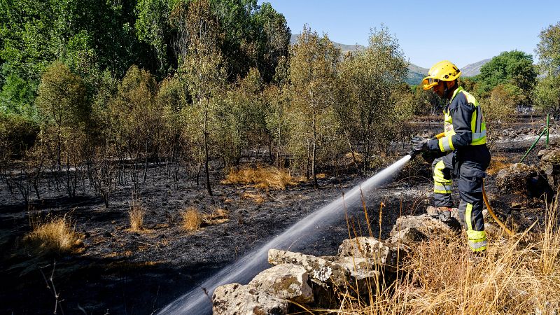 El incendio de Navaluenga, Ávila, está controlado tras quemar más de 1.500 hectáreas