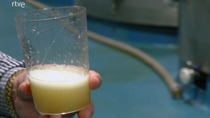 Aquí la Tierra - Sidra asturiana: la manzana más especial